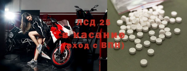 стаф Алексин