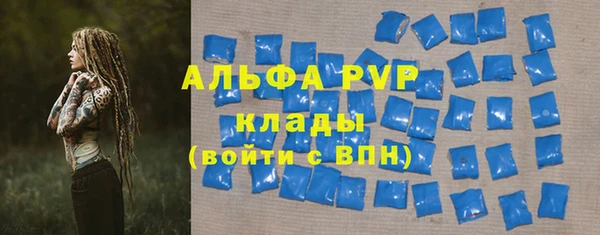 стаф Алексин