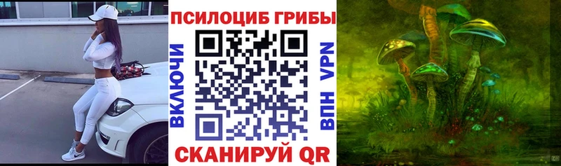 Псилоцибиновые грибы ЛСД  купить наркотик  Петрозаводск 